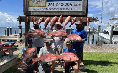 Springtime Fishing in Gulf Shores and Fort Morgan